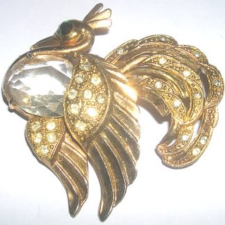 spilla pavone